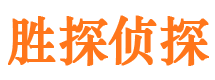 洛龙市私家侦探